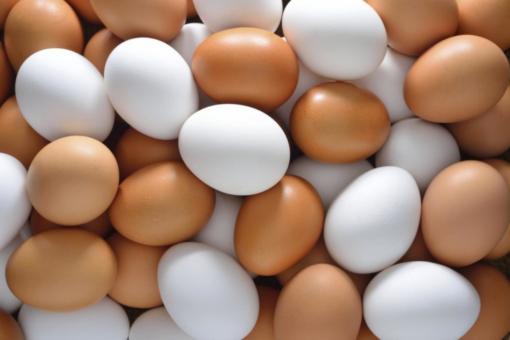 Huevos, alimento habitual en una dieta equilibrada